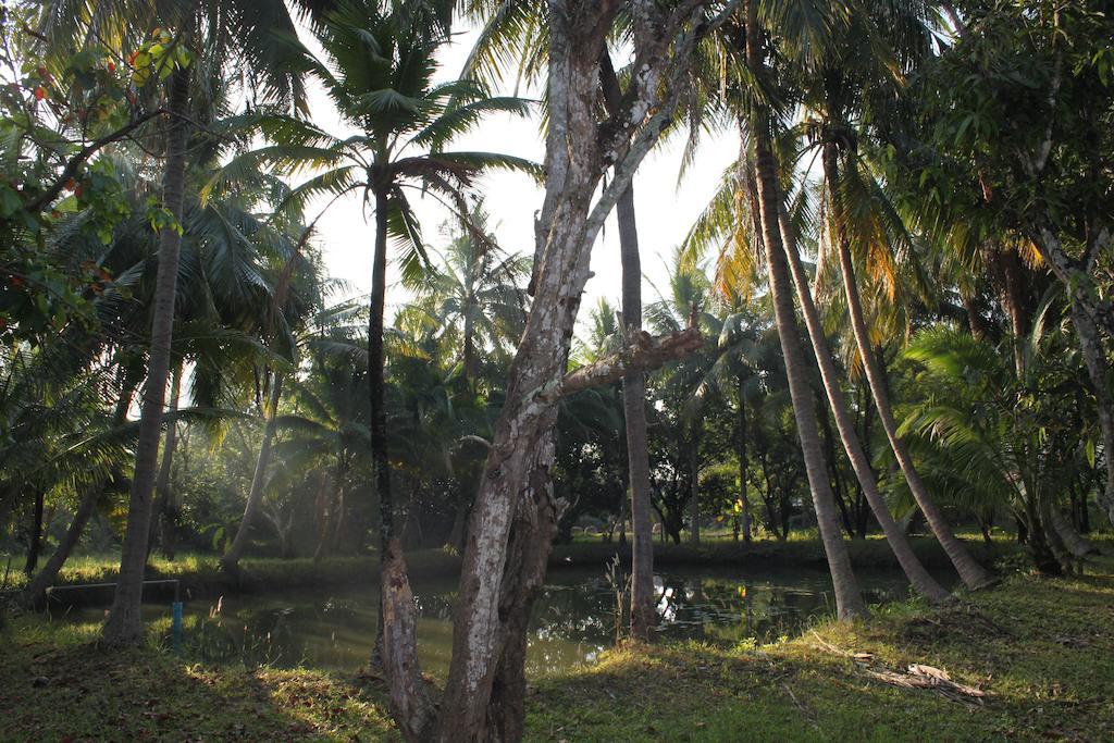 Chaisuk Bungalow Aranyaprathet Exterior photo